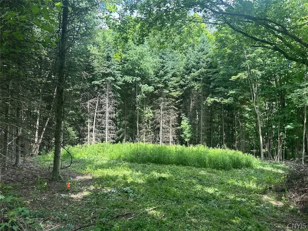 $44,900 | 6201 Highway 20, La Fayette, NY 13084