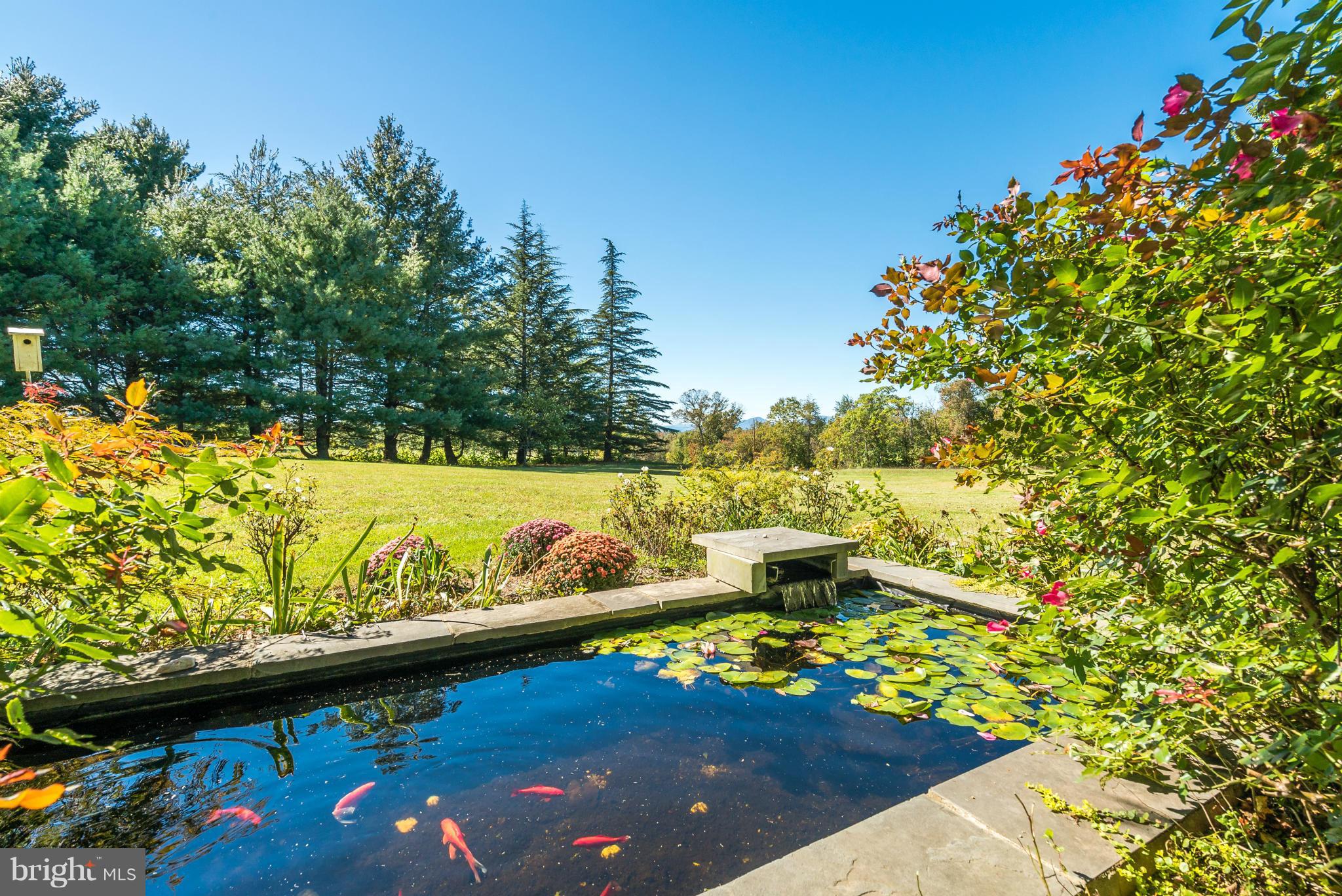 10003-10005 Ada Road Marshall, VA 20115 - Photo 29 of 30 Unique Koi Pond off Rear Patio of Main House