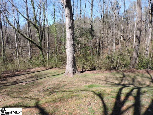 208 Mill Street Travelers Rest, SC 29690 - Photo 14 of 20
