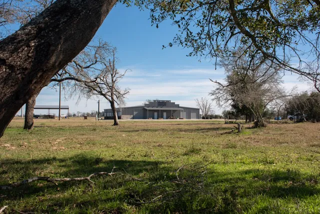 a view of a garden with large trees