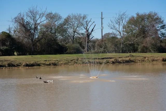 a view of a field with an trees