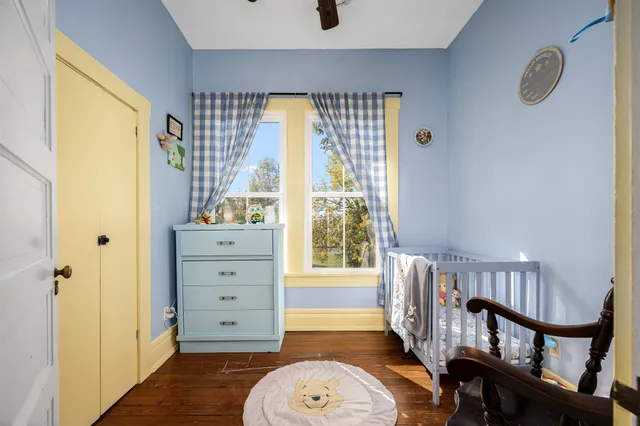 a view of a yard with plants and trees