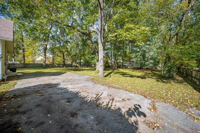 a view of yard with tree