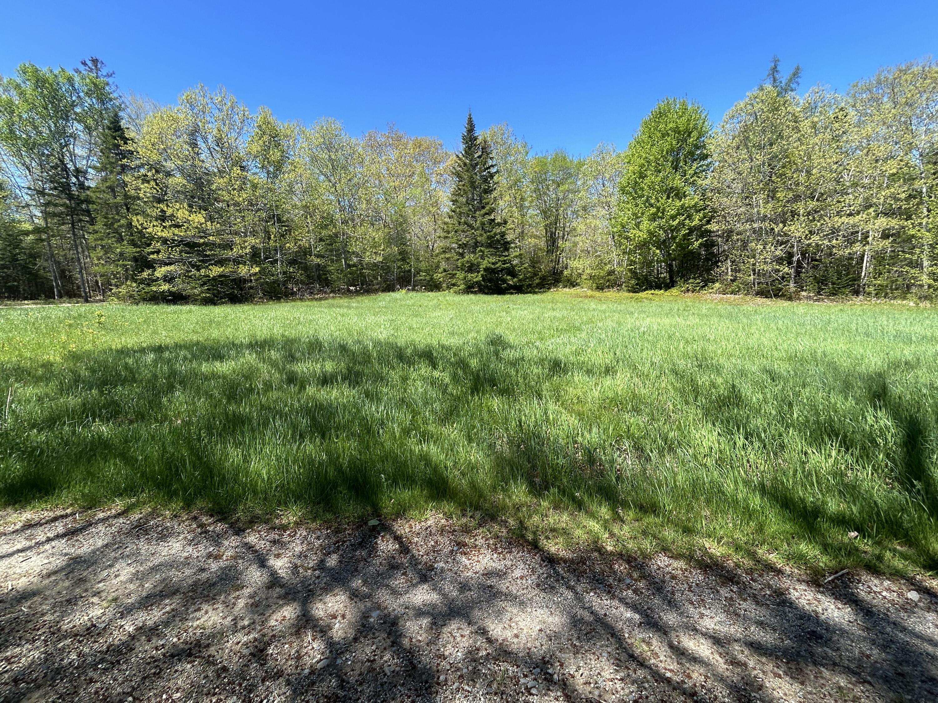 3 Cemetery Road Gouldsboro, ME 04607 - Photo 18 of 21 Field from Cemetery Road