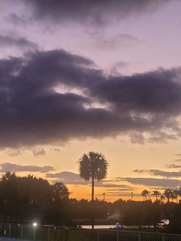 336 Golfview Road, Unit 210 North Palm Beach, FL 33408 - Photo 19 of 39 Sunset1