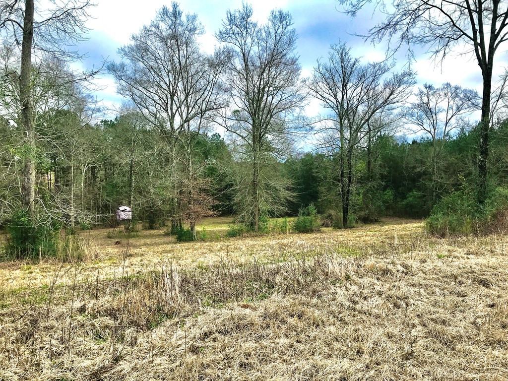 1168 Lloyd Hamilton Road McComb, MS 39648 - Photo 3 of 9 Photo 3