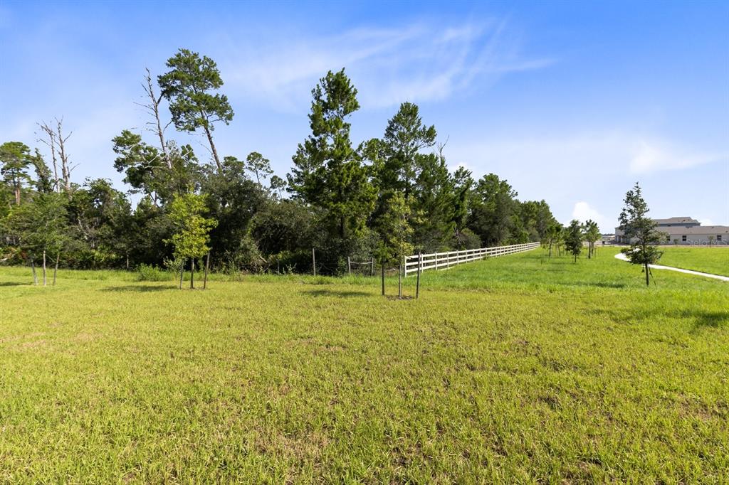 2520 Harmonia Hammock Road Harmony, FL 34773 - Photo 22 of 26 a view of a golf course with a lake