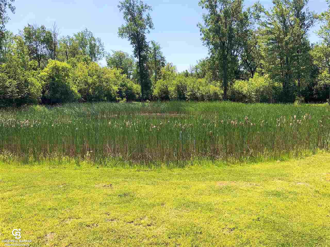 13315 Fisher Road Yale, MI 48097 - Photo 49 of 52
