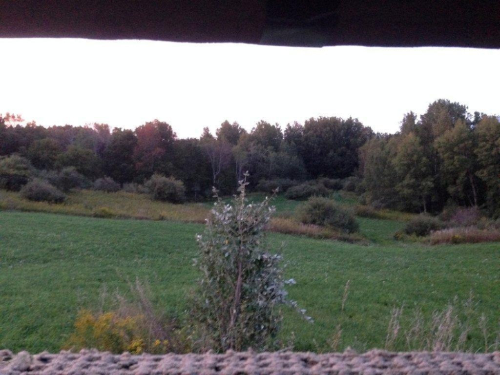 Willard Road Northwest, Unit P Stanton, MI 48888 - Photo 9 of 14 View from the Deer Blind