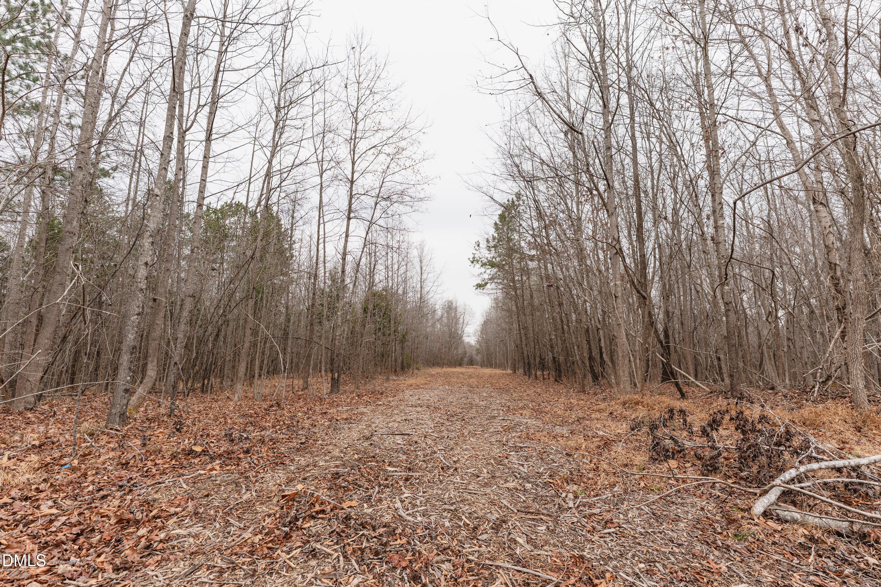 1519 Oxford Road Roxboro, NC 27574 - Photo 11 of 13 DSC06551