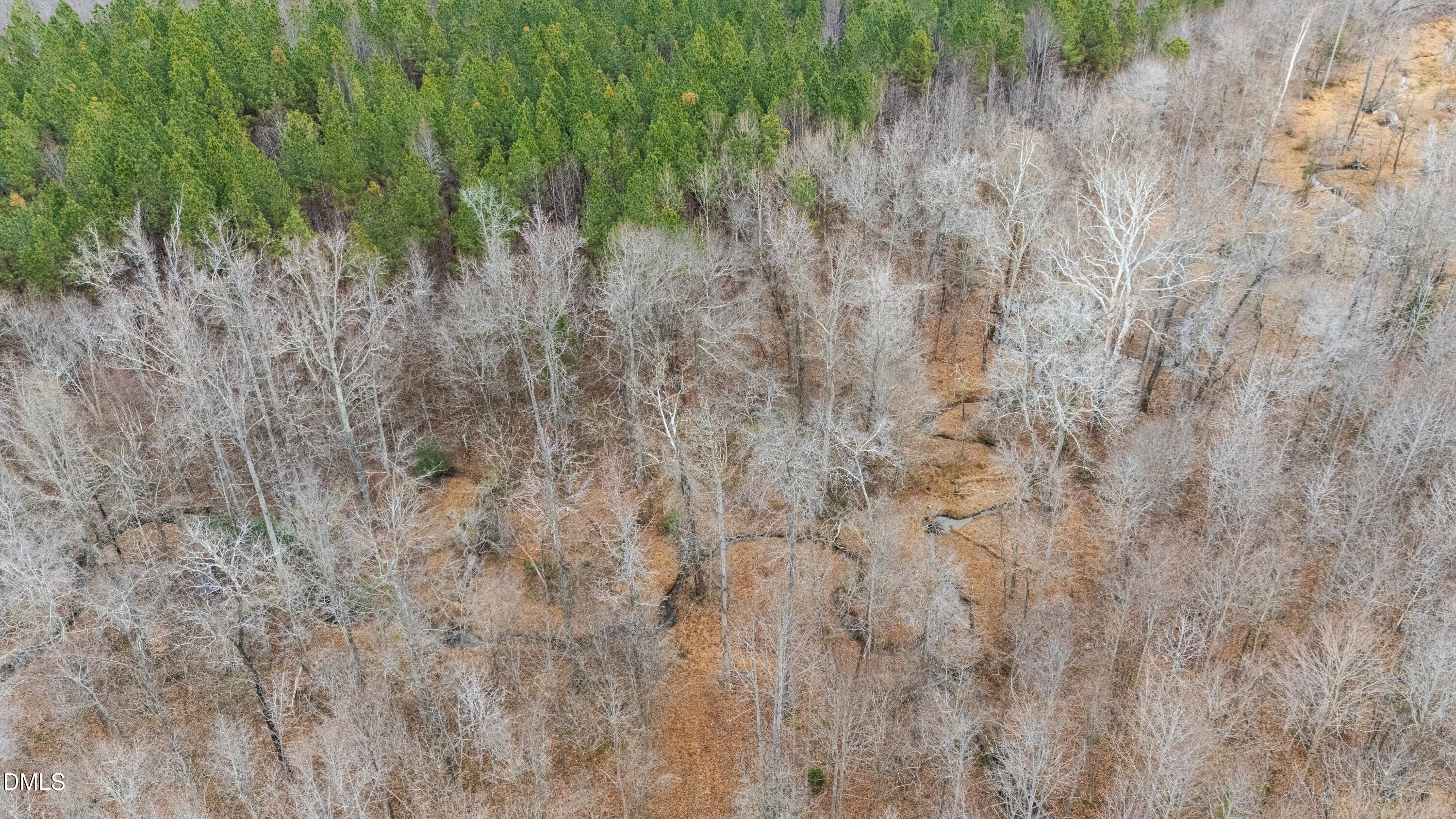 1519 Oxford Road Roxboro, NC 27574 - Photo 12 of 13 DJI_20251213014105_0013_D