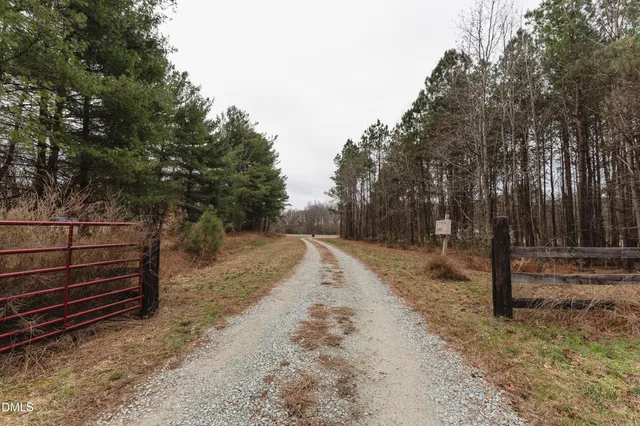 a view of a backyard with trees