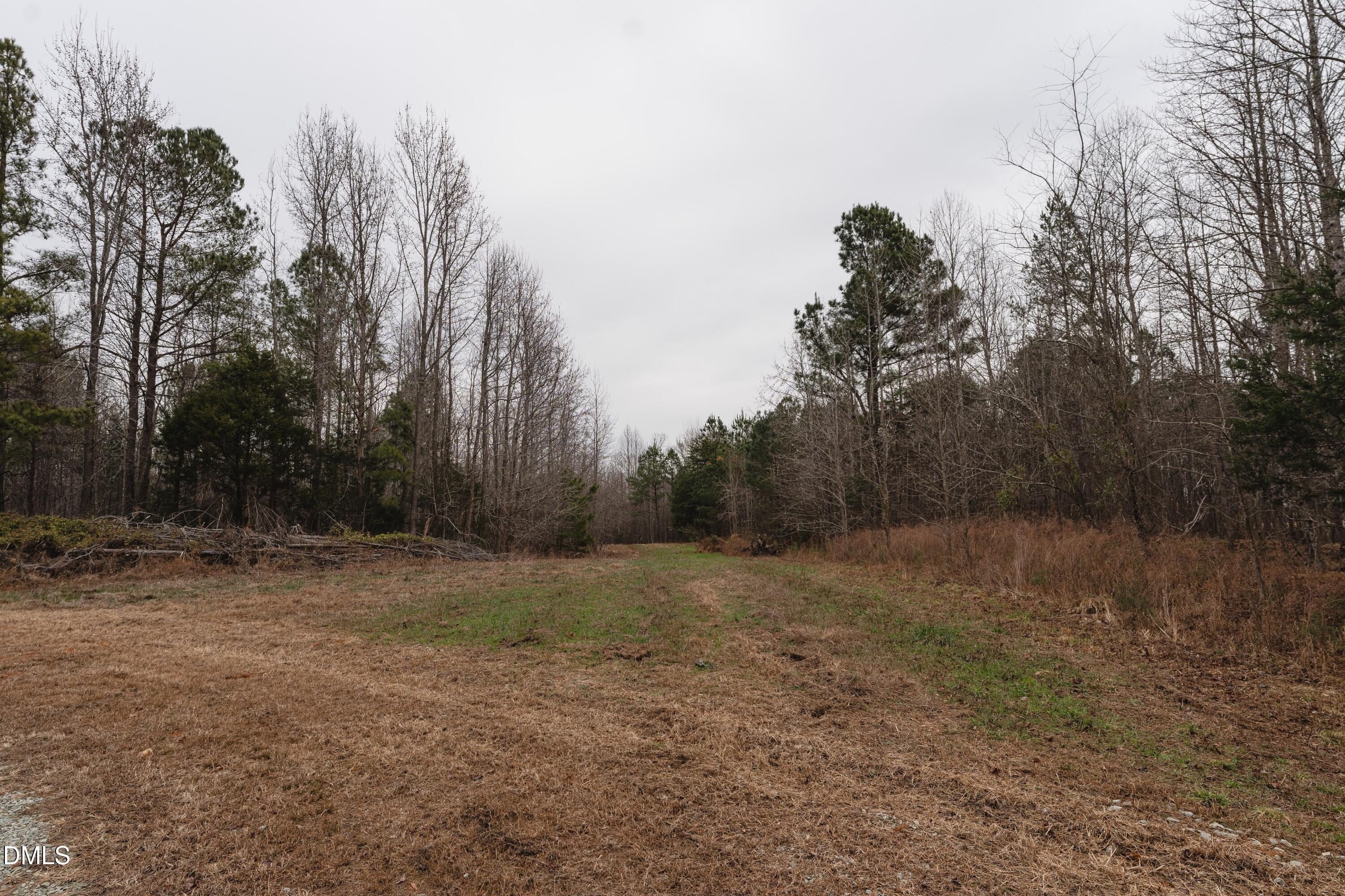 1519 Oxford Road Roxboro, NC 27574 - Photo 8 of 13 DSC06484