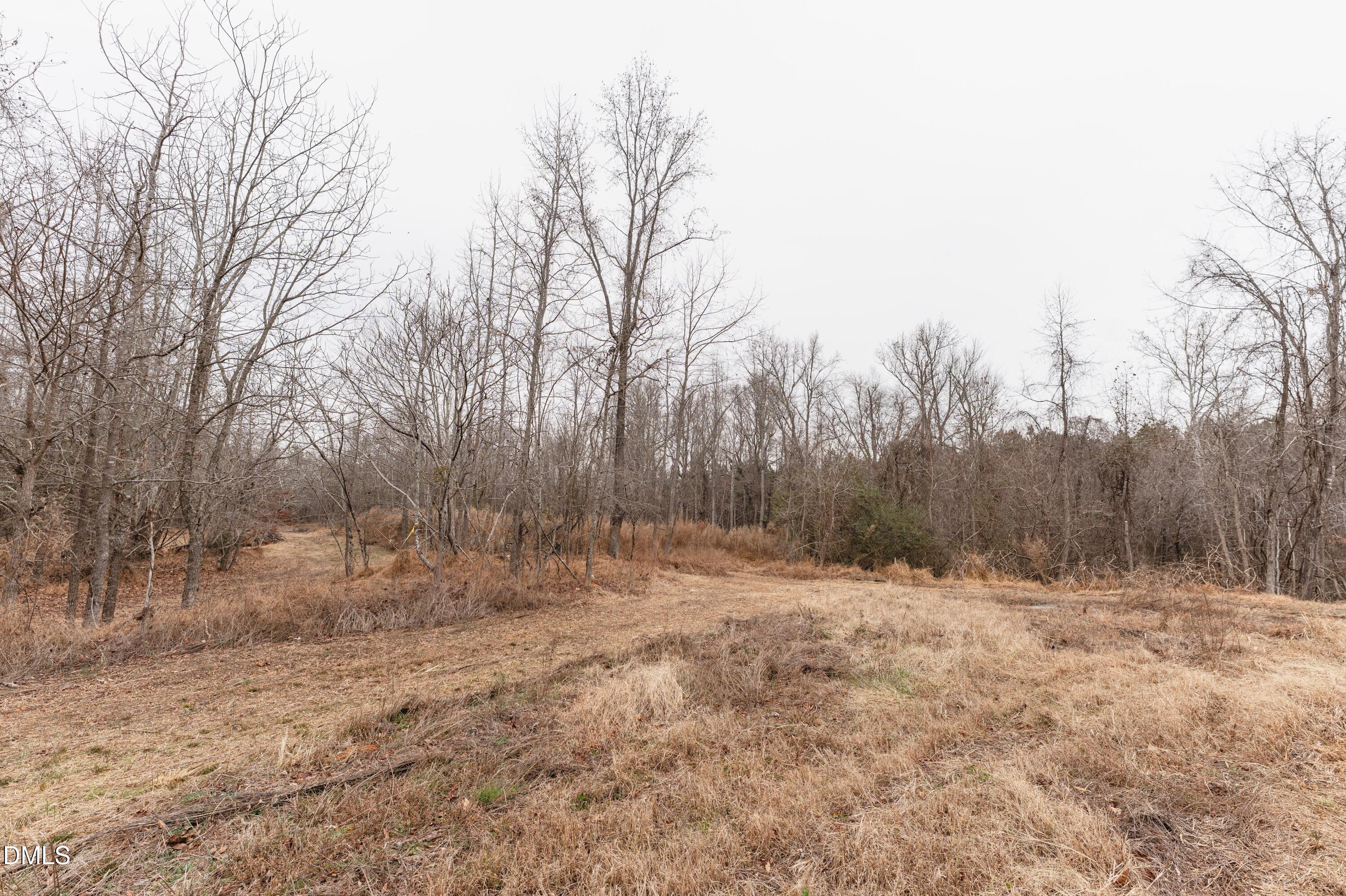 1519 Oxford Road Roxboro, NC 27574 - Photo 9 of 13 DSC06539