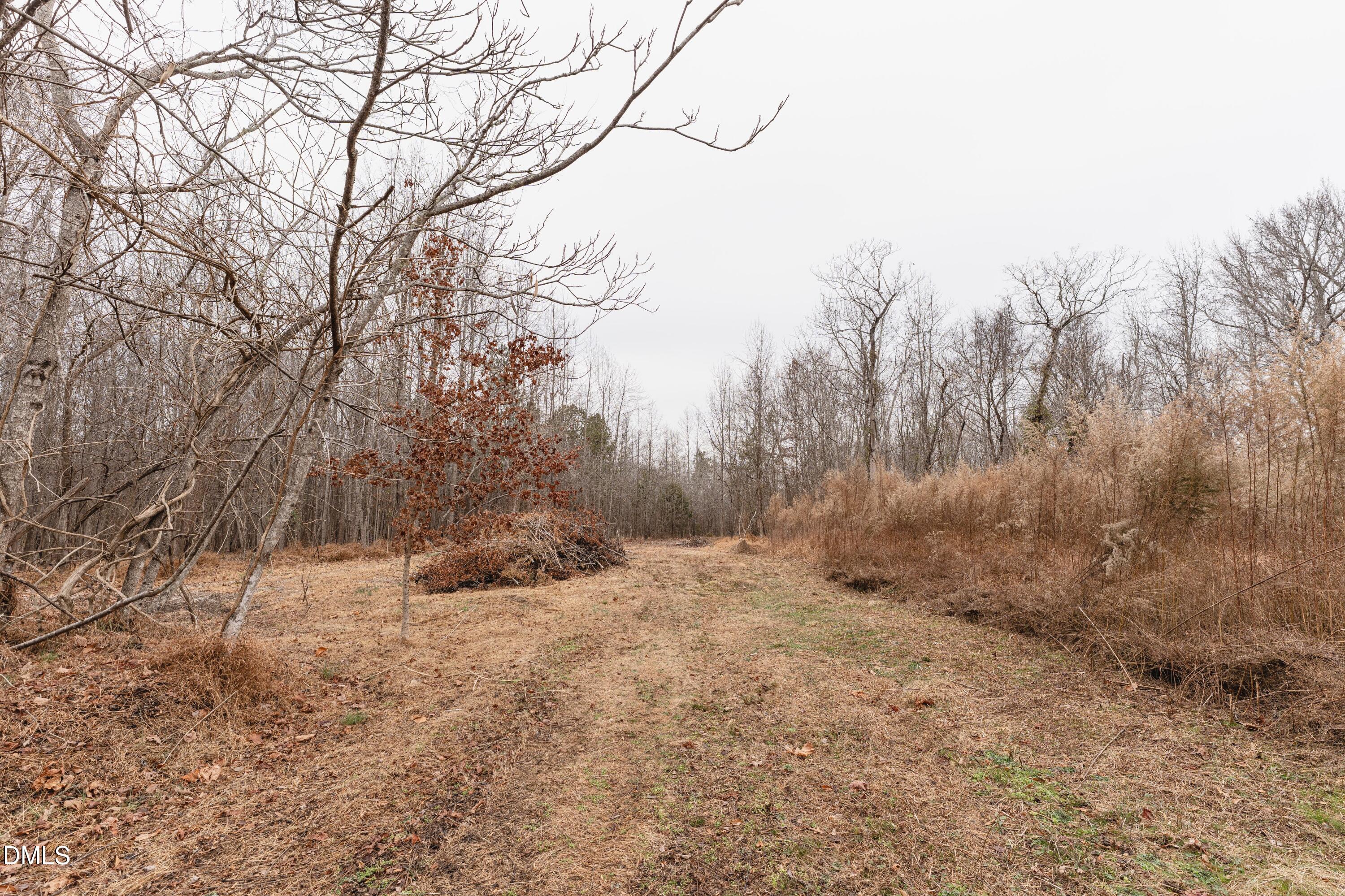 1519 Oxford Road Roxboro, NC 27574 - Photo 10 of 13 DSC06542