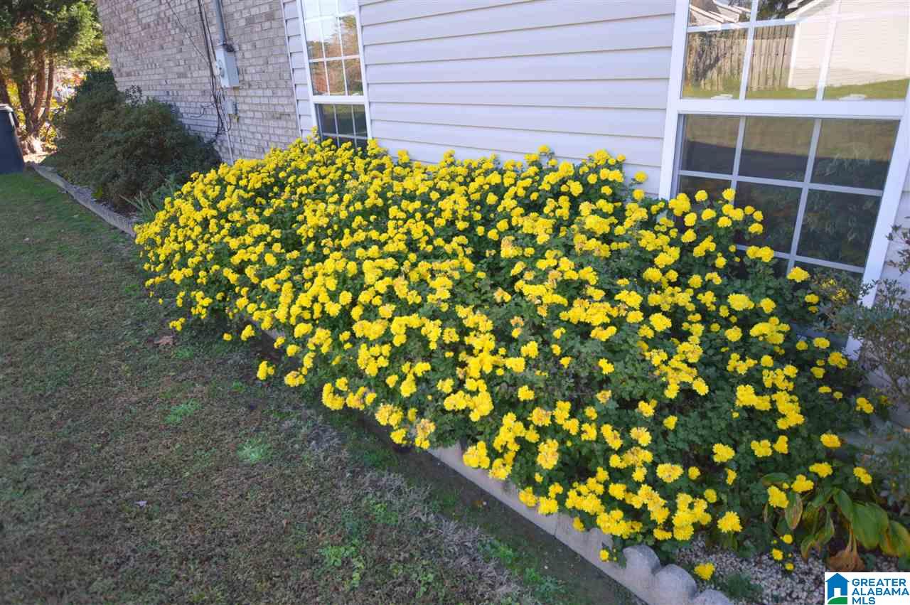 1446 Frost Road Eva, AL 35621 - Photo 24 of 24