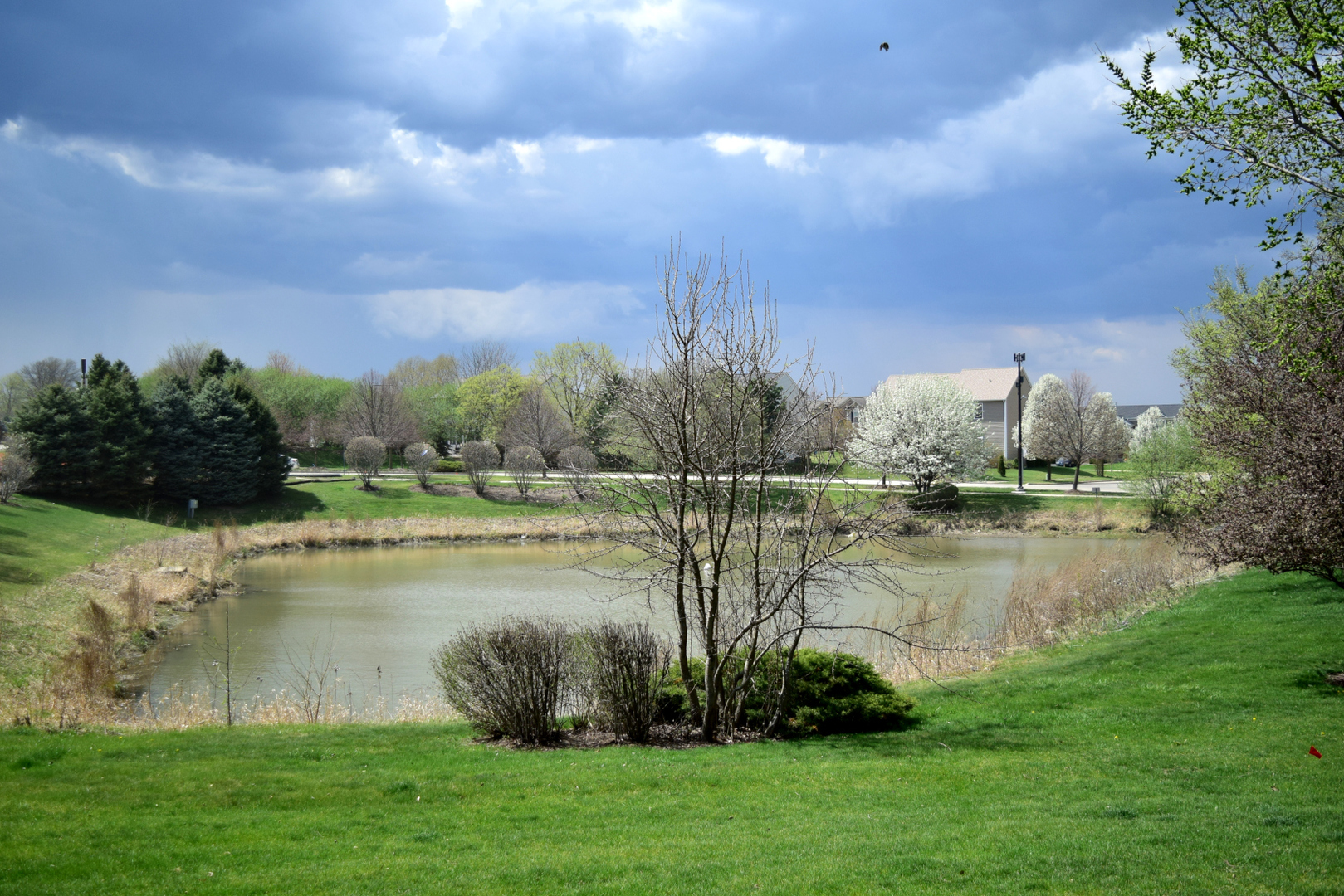 420 Valentine Way Oswego, IL 60543 - Photo 19 of 20 a lake view with a garden