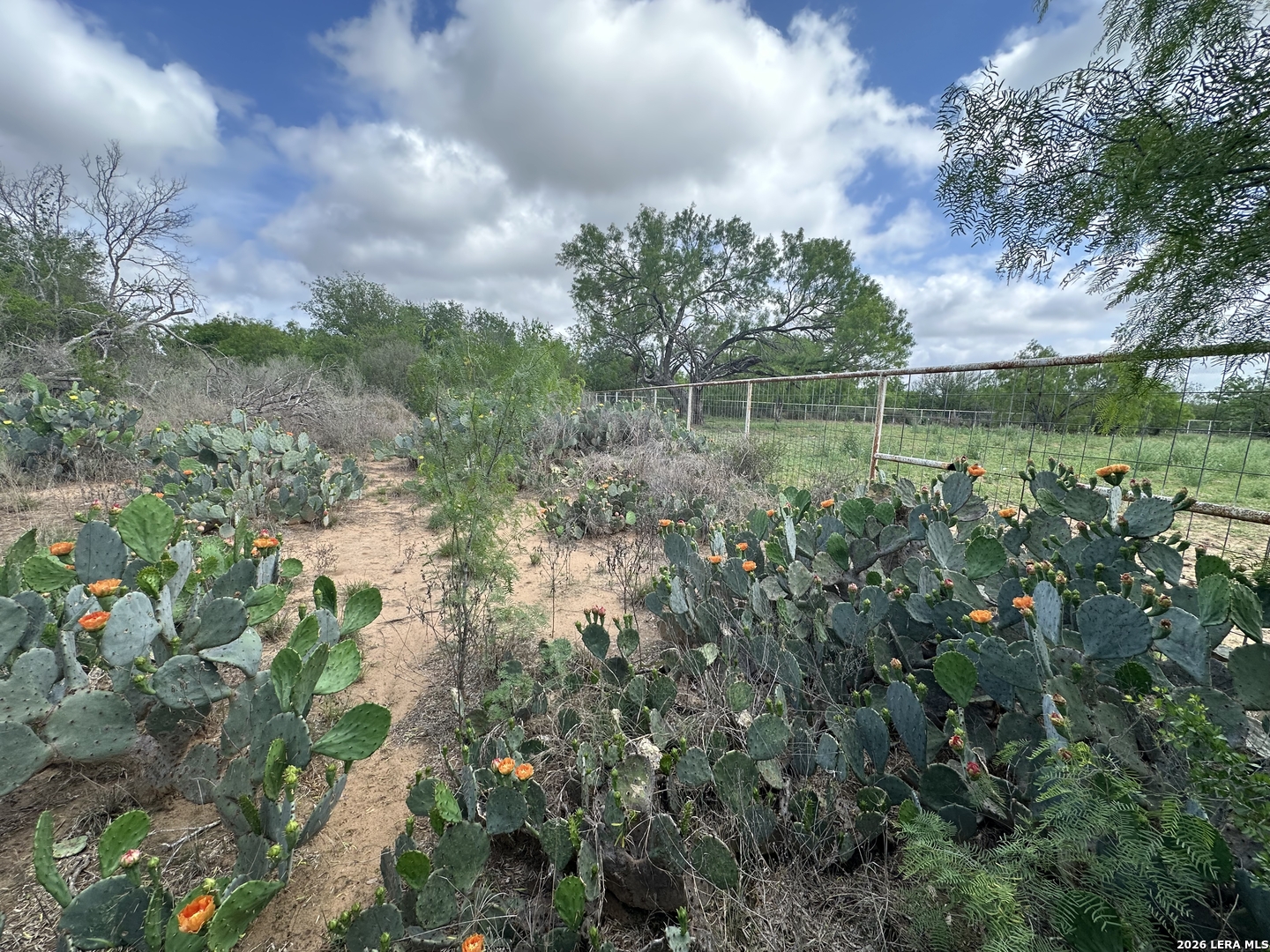17603 Shepherd Road Atascosa, TX 78002 - Photo 11 of 11 Gallery Image 11