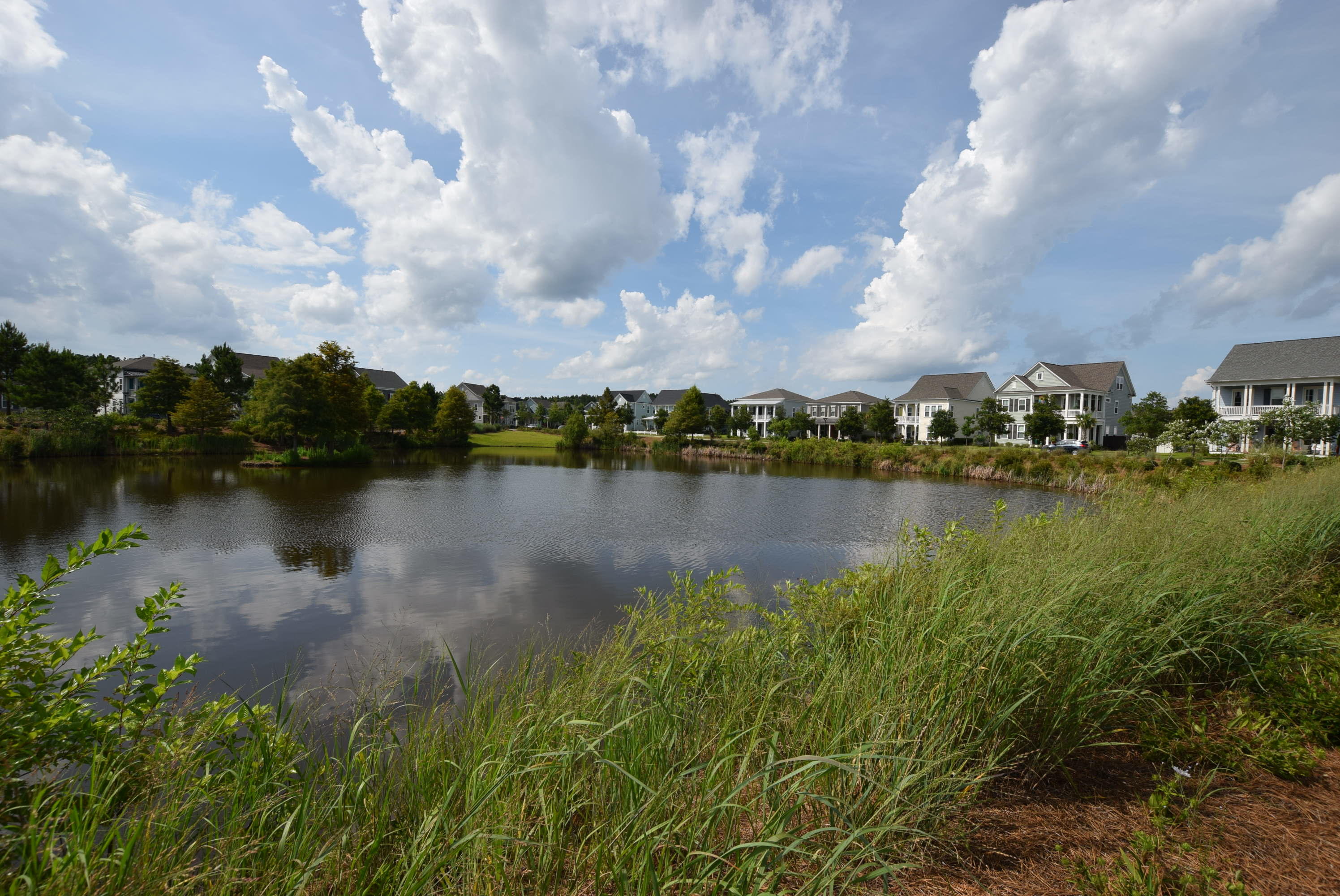 514 Cross Park Lane Summerville, SC 29486 - Photo 37 of 41 Tranquil Pond