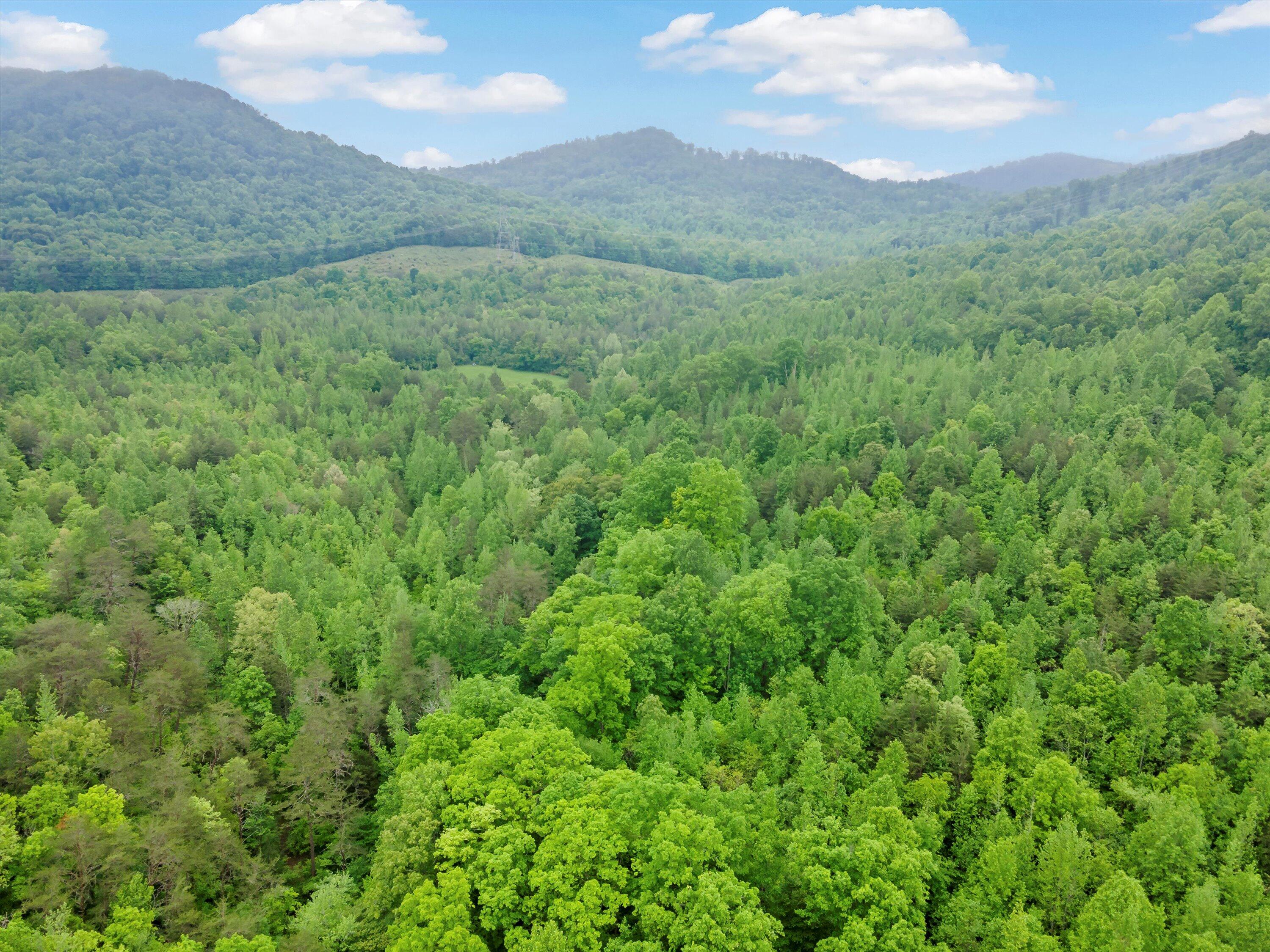 0 Egypt Hollow Road Trenton, GA 30752 - Photo 15 of 15 5-0 Egypt Hollow Rd Aerial-05