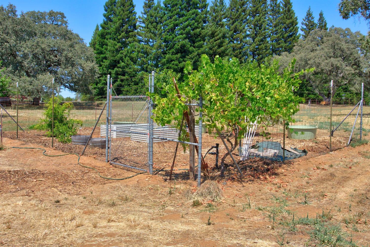 5343 Milton Ranch Road Shingle Springs, CA 95682 - Photo 40 of 58