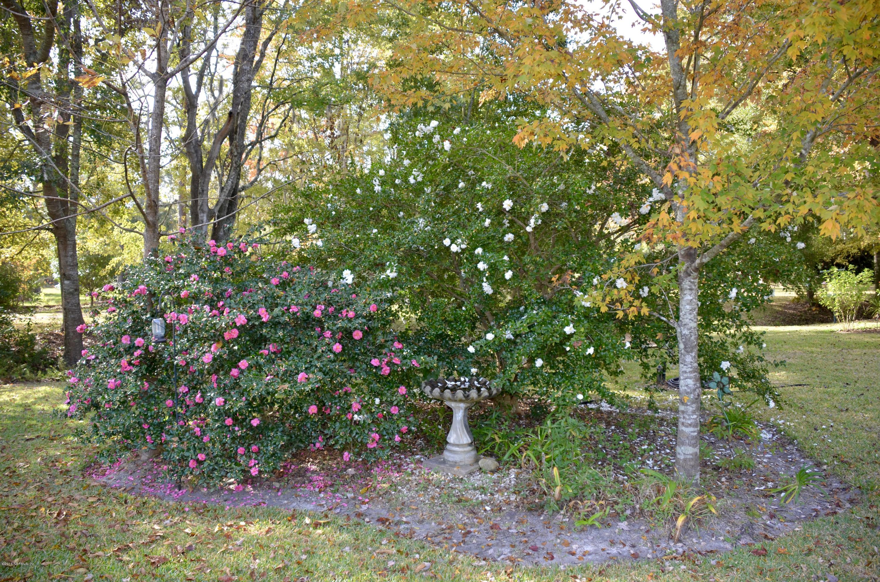540516 Lem Turner Road Callahan, FL 32011 - Photo 24 of 26 a picture of tree