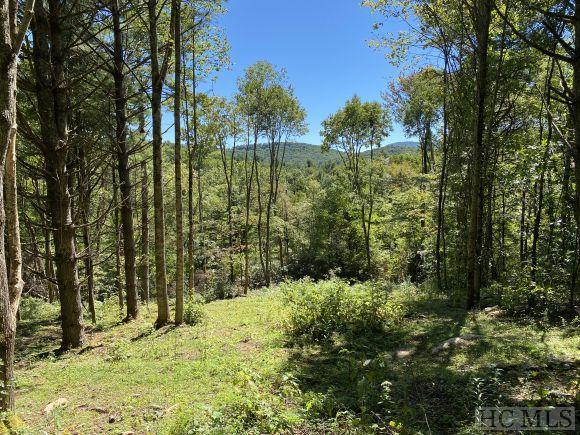 Lot #59 Springhead Trail Cullowhee, NC 28723 - Photo 1 of 5 Gallery Image 1