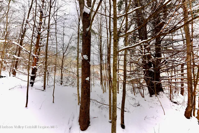 a view of outdoor space