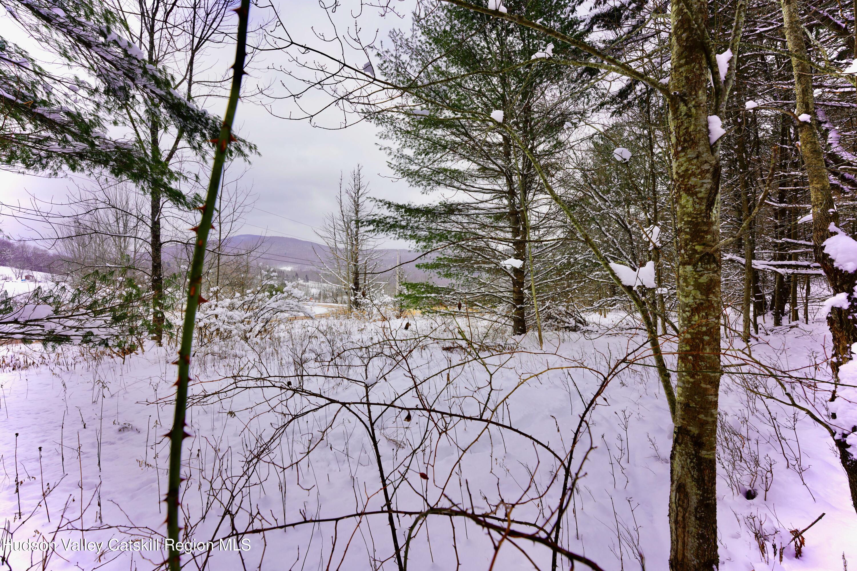 2 Quail Ridge Road Margaretville, NY 12455 - Photo 24 of 37 _DSC0426