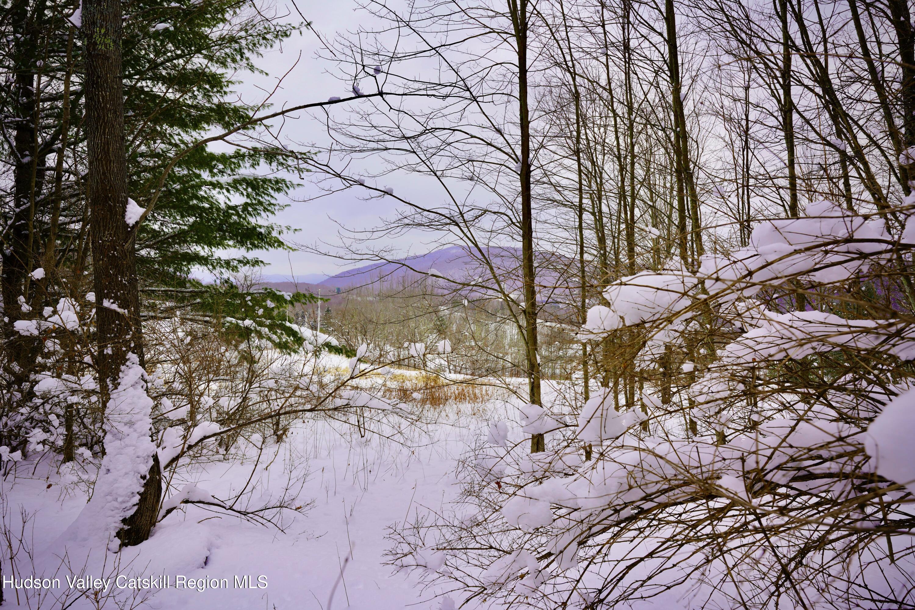 2 Quail Ridge Road Margaretville, NY 12455 - Photo 25 of 37 _DSC0428