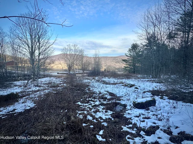 a view of a yard with a tree