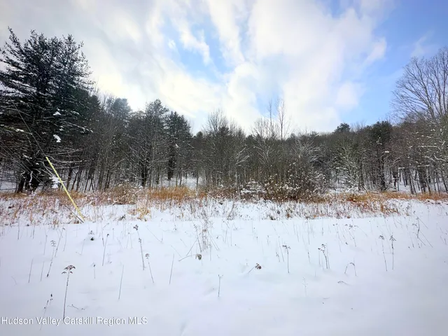 a view of a yard covered in snow