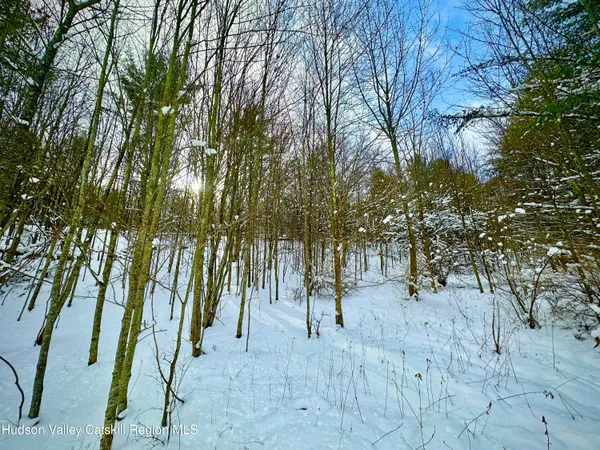 a view of a tree