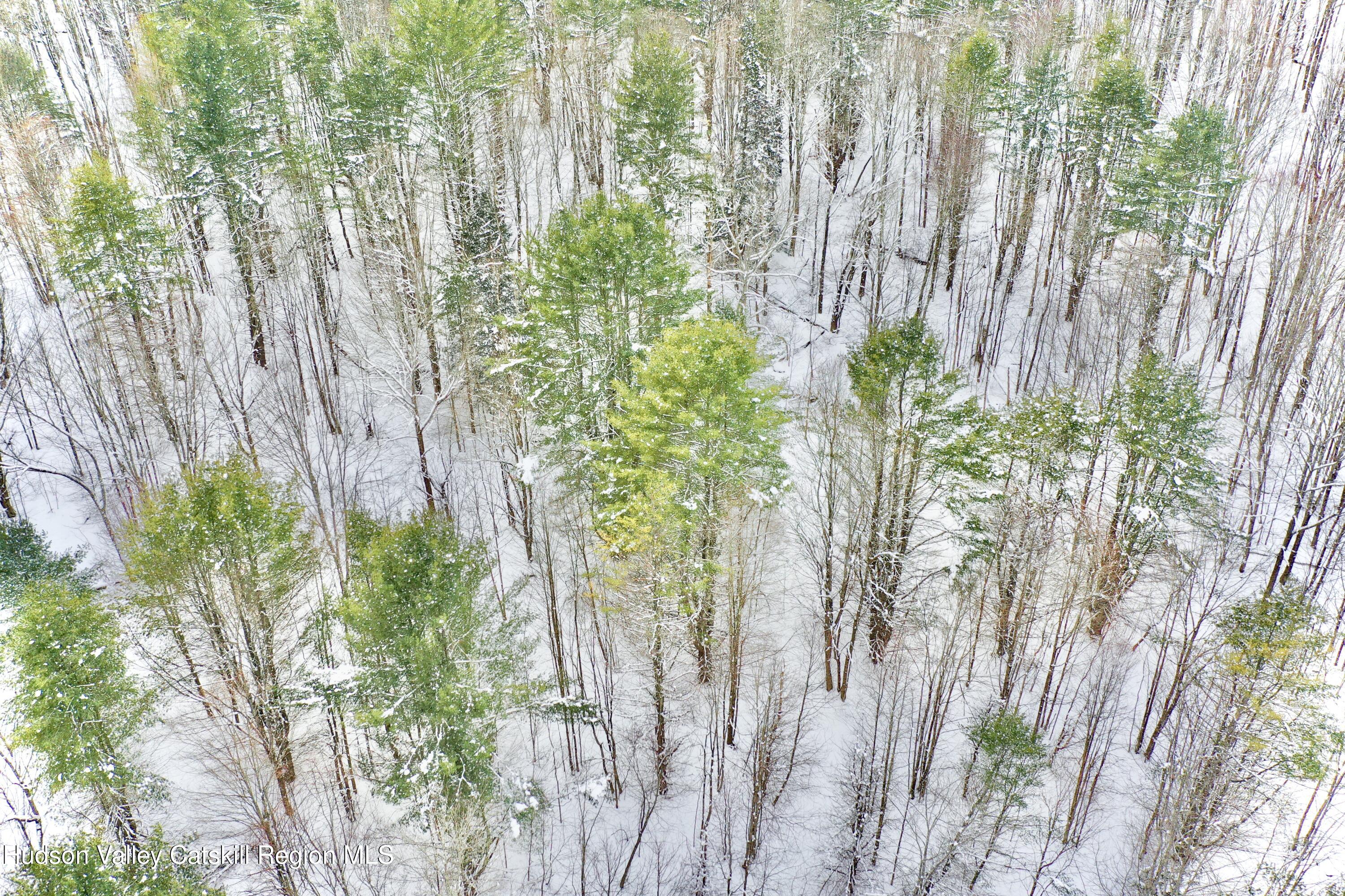 2 Quail Ridge Road Margaretville, NY 12455 - Photo 35 of 37 DJI_0318