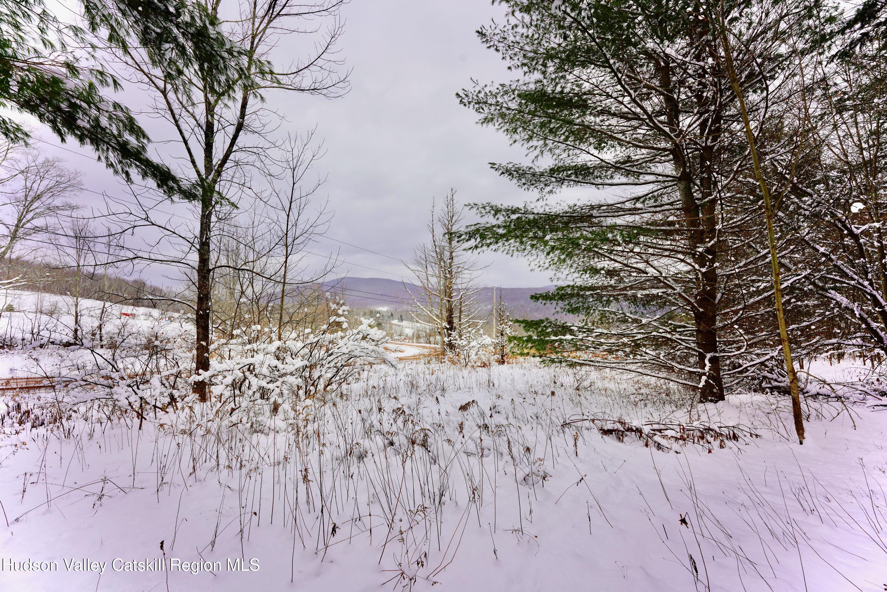 2 Quail Ridge Road Margaretville, NY 12455 - Photo 4 of 37 _DSC0400