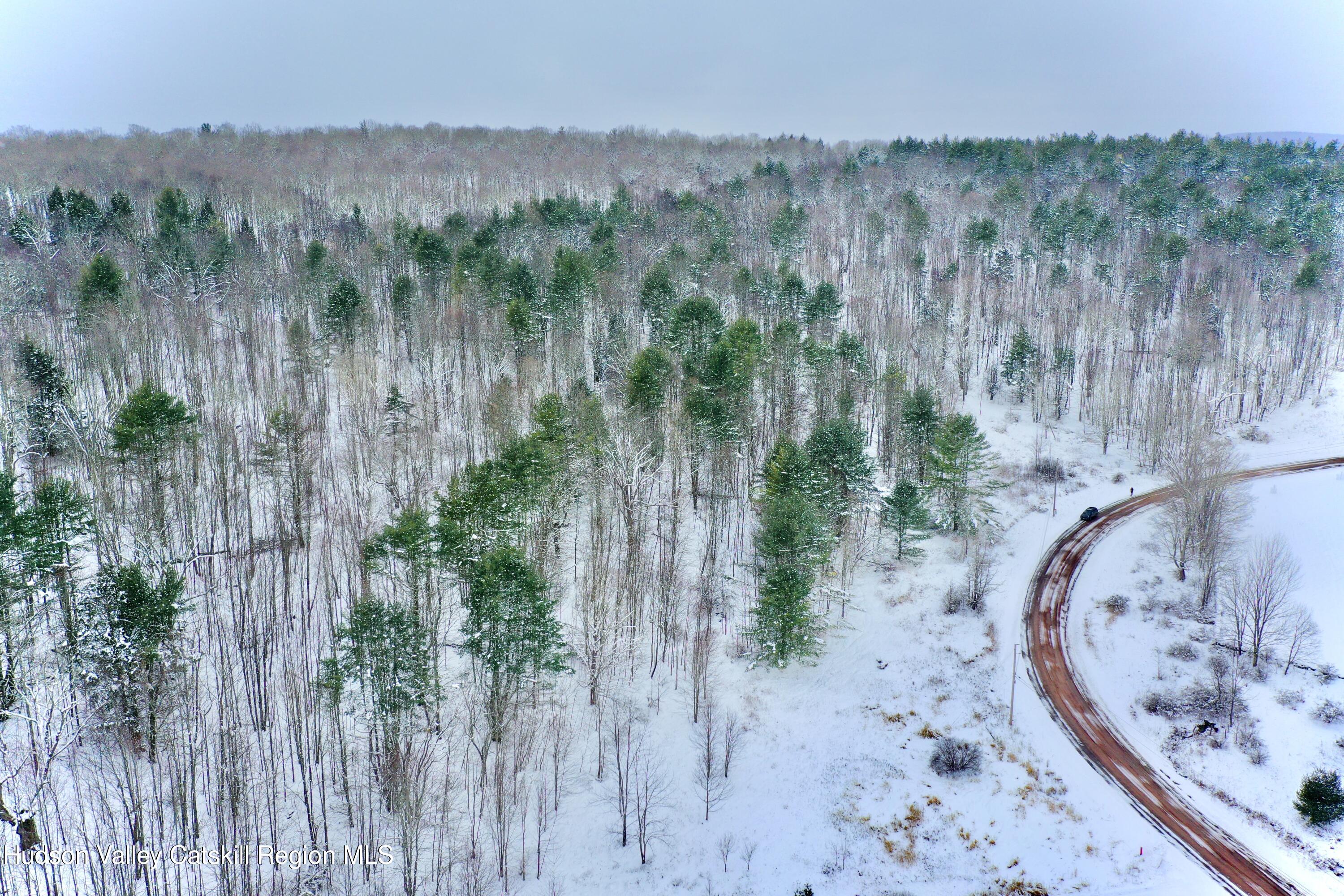 2 Quail Ridge Road Margaretville, NY 12455 - Photo 5 of 37 DJI_0317