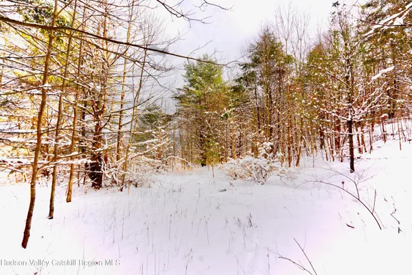 a view of a yard covered with snow