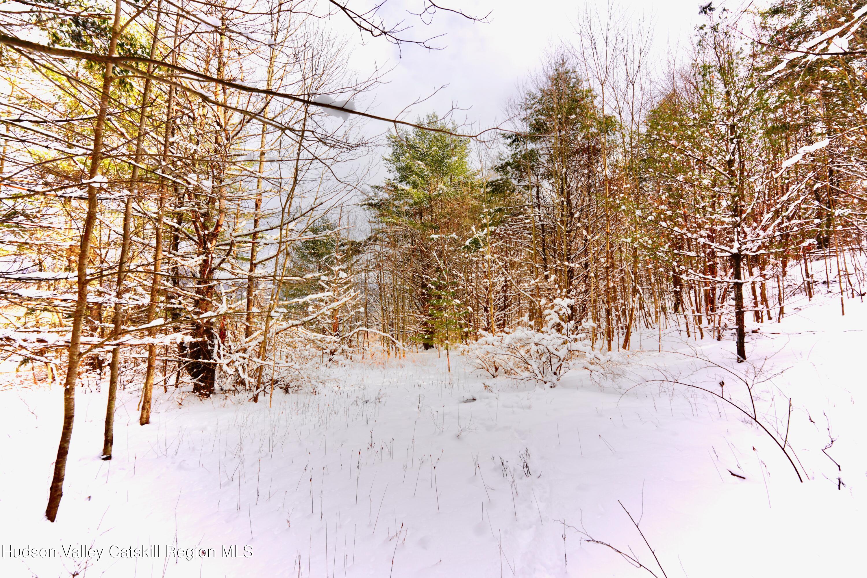 2 Quail Ridge Road Margaretville, NY 12455 - Photo 6 of 37 _DSC0405