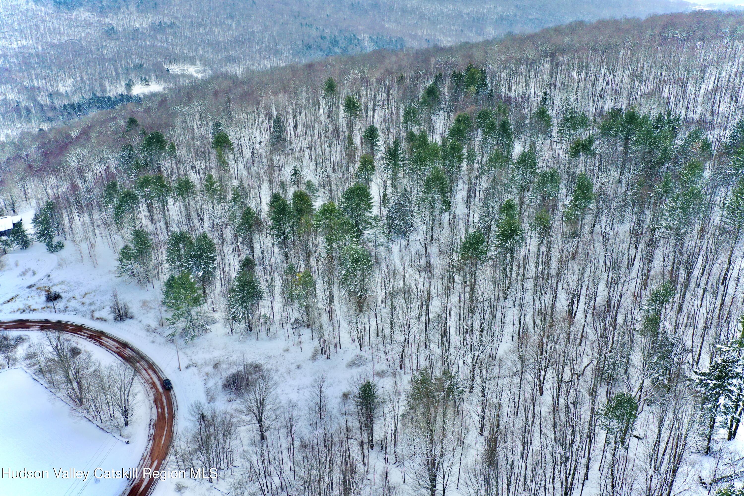 2 Quail Ridge Road Margaretville, NY 12455 - Photo 7 of 37 DJI_0303