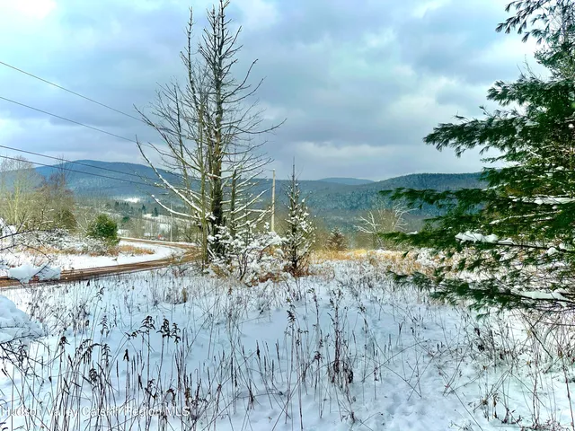 a view of a yard with large trees