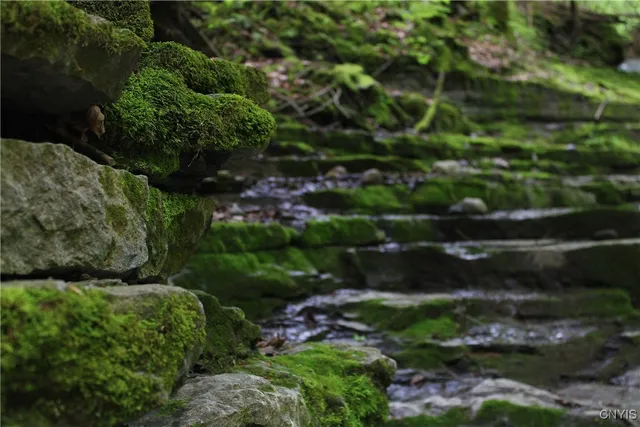 $215,000 | 3883 Highway 28, Herkimer, NY 13350