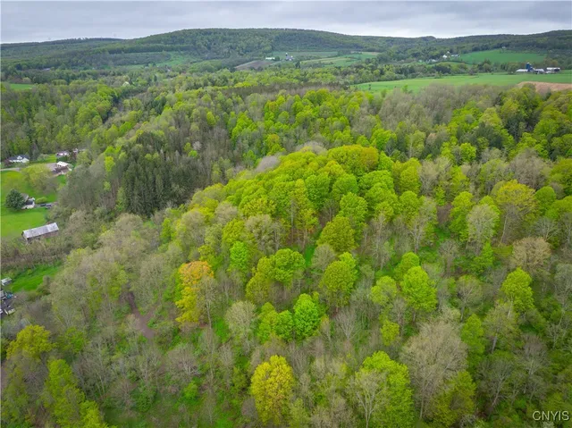 $215,000 | 3883 Highway 28, Herkimer, NY 13350