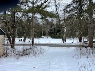 15 River Road Royalston, MA 01368 - Photo 16 of 16 Gallery Image 16