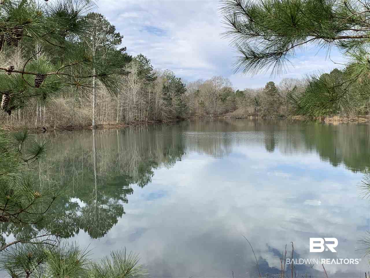 0 Sexton Brg Road Luverne, AL 36049 - Photo 9 of 50