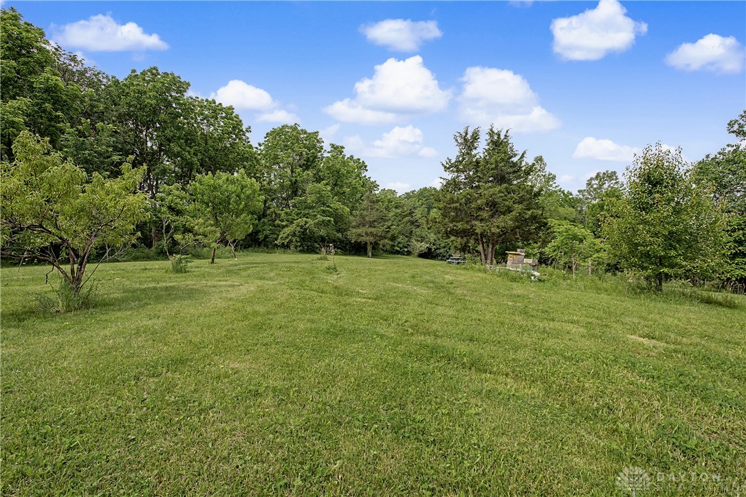 3787 Miller Road Springfield, OH 45502 - Photo 74 of 100