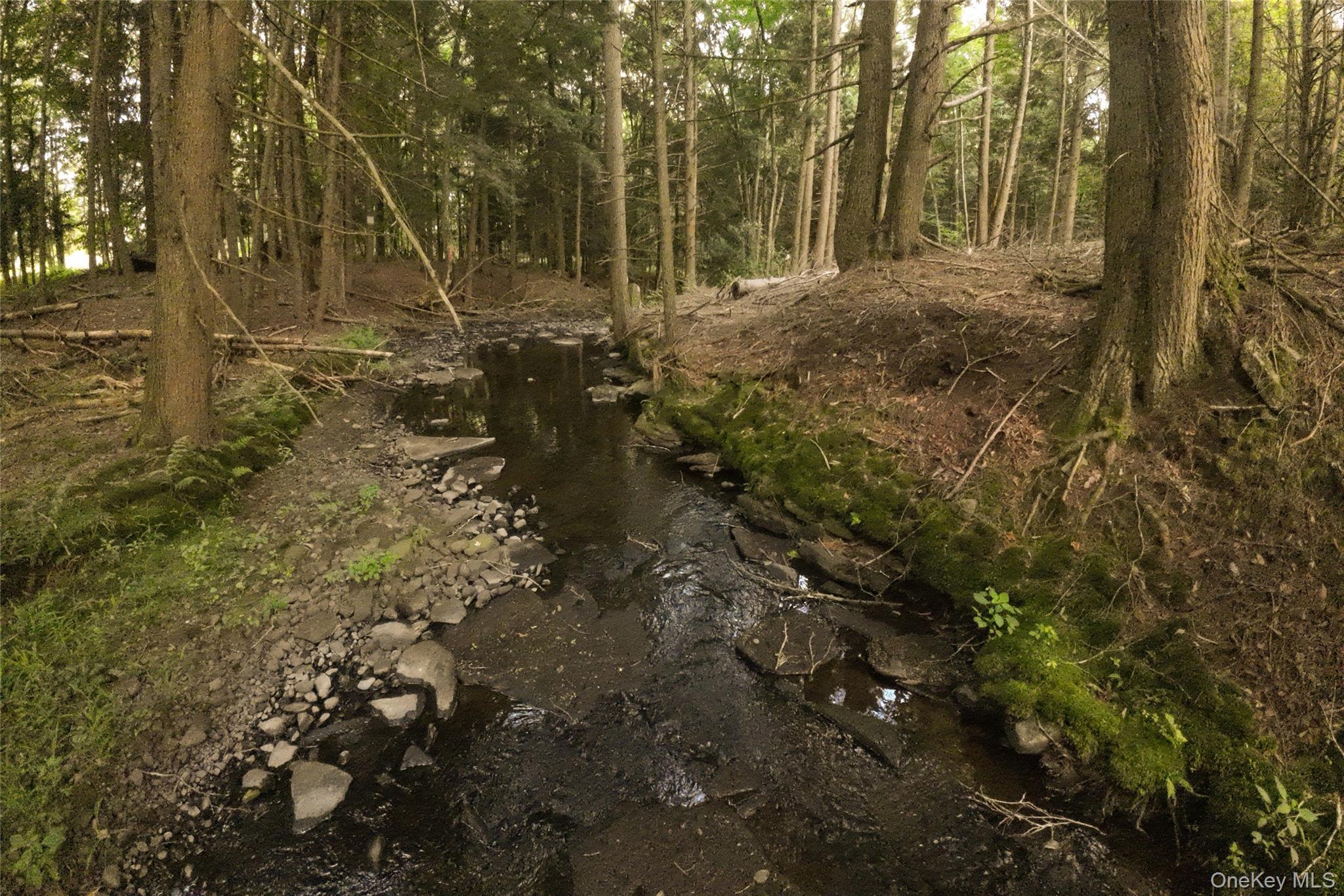 49 Crumley Van Vactor Road Ferndale, NY 12734 - Photo 10 of 50 View of woods