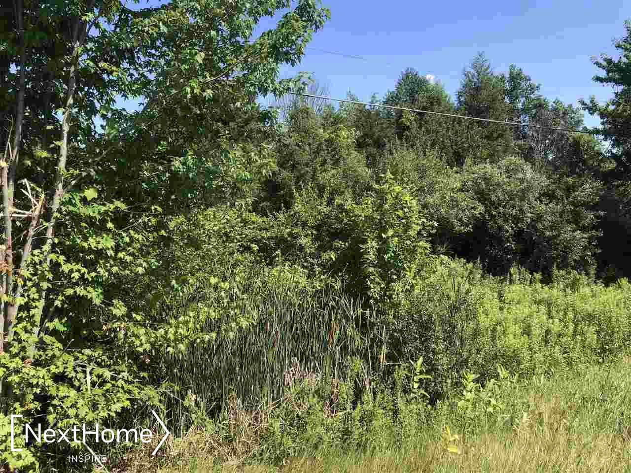 16000 Oakley Road Chesaning, MI 48616 - Photo 3 of 4 50049225-2.JPG