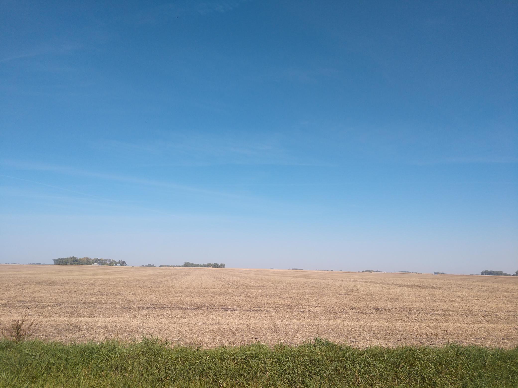 Xxx 180th Street Springfield, MN 56087 - Photo 1 of 1 Gallery Image 1