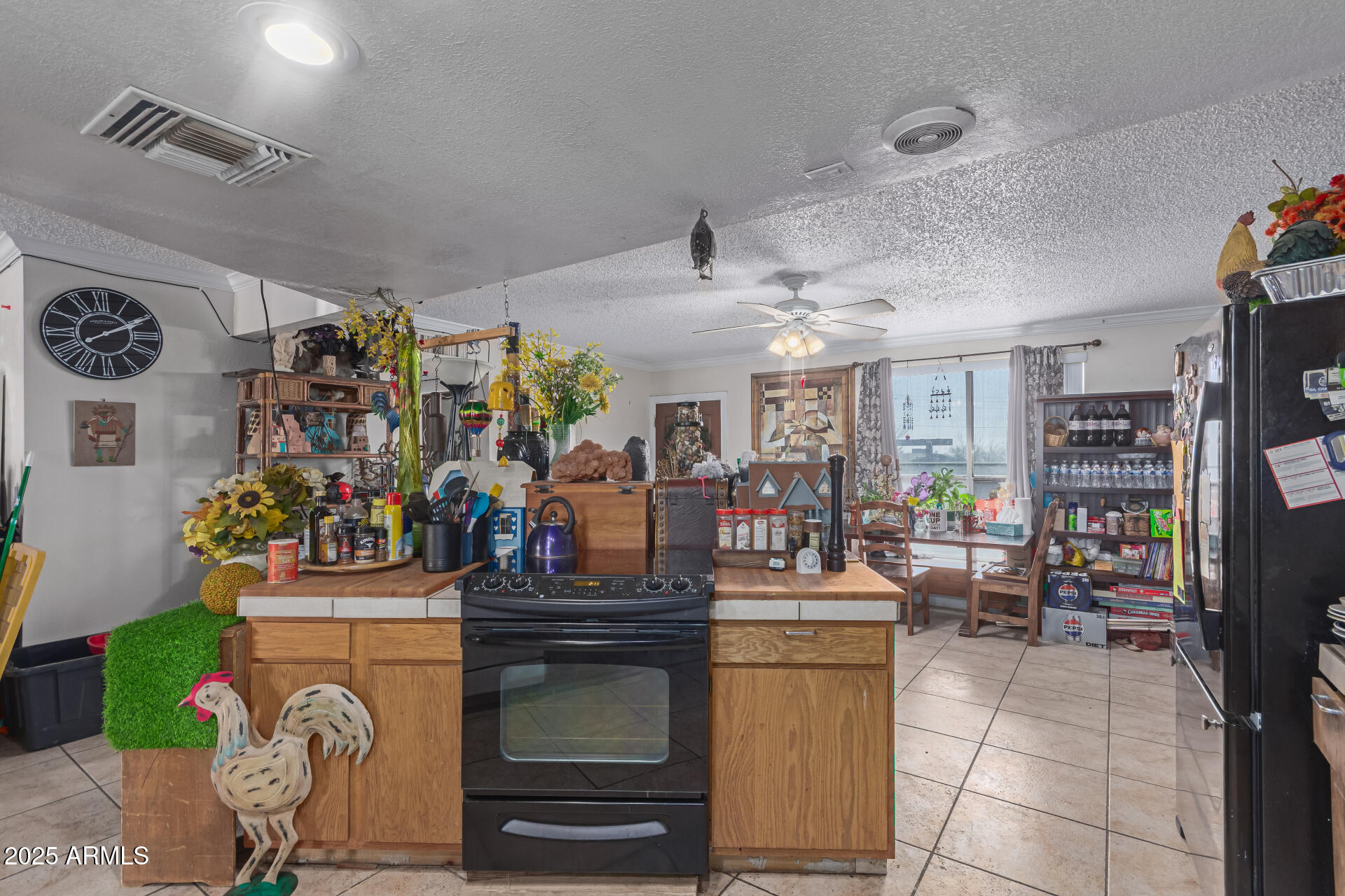 765 South Geronimo Road Apache Junction, AZ 85119 - Photo 7 of 27 09 - Geronimo