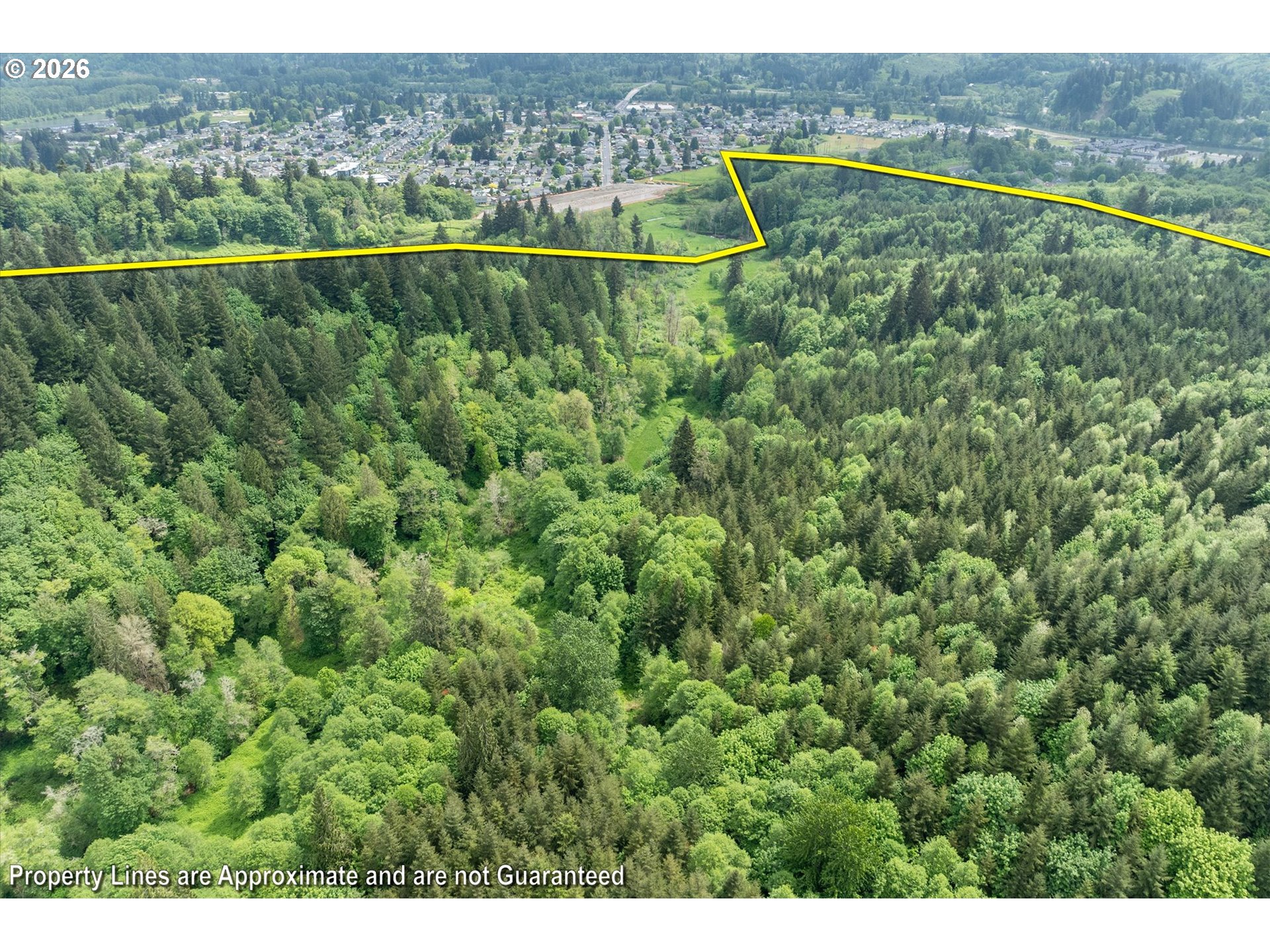 145 Talkeetna Heights Road Longview, WA 98632 - Photo 41 of 48 View